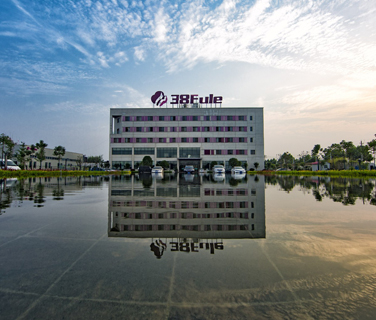 赞！三八妇乐科技股份获批成立党支部